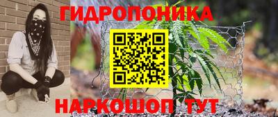 круглые Тулун