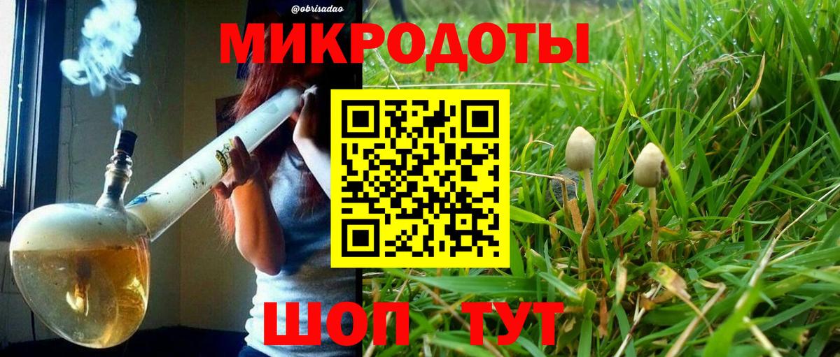 Галлюциногенные грибы Cubensis Миасс